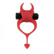 Насадки и кольца adrien lastic