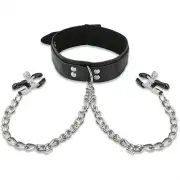 Кляпы, ошейники металл