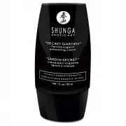 Лубриканты и аксессуары shunga