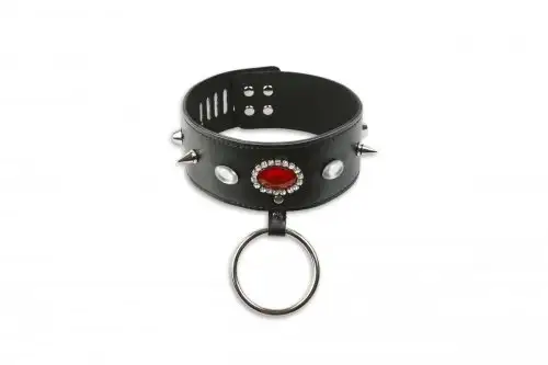 Дизайнерский ошейник с шипами и поводком photo 1