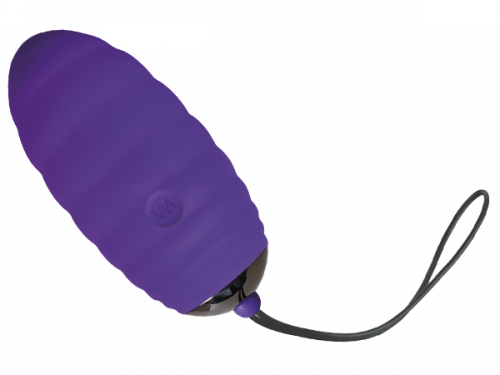 Виброяйцо Adrien Lastic Ocean Breeze Purple photo 1
